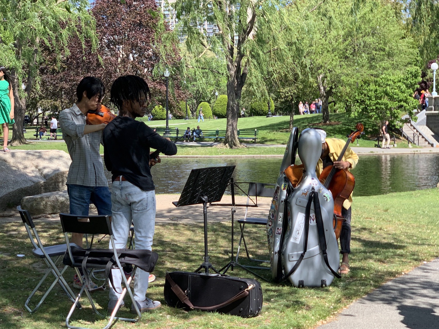 A violist, celloist, and mystery man serenade the Boston Gardens at the peak of summer.