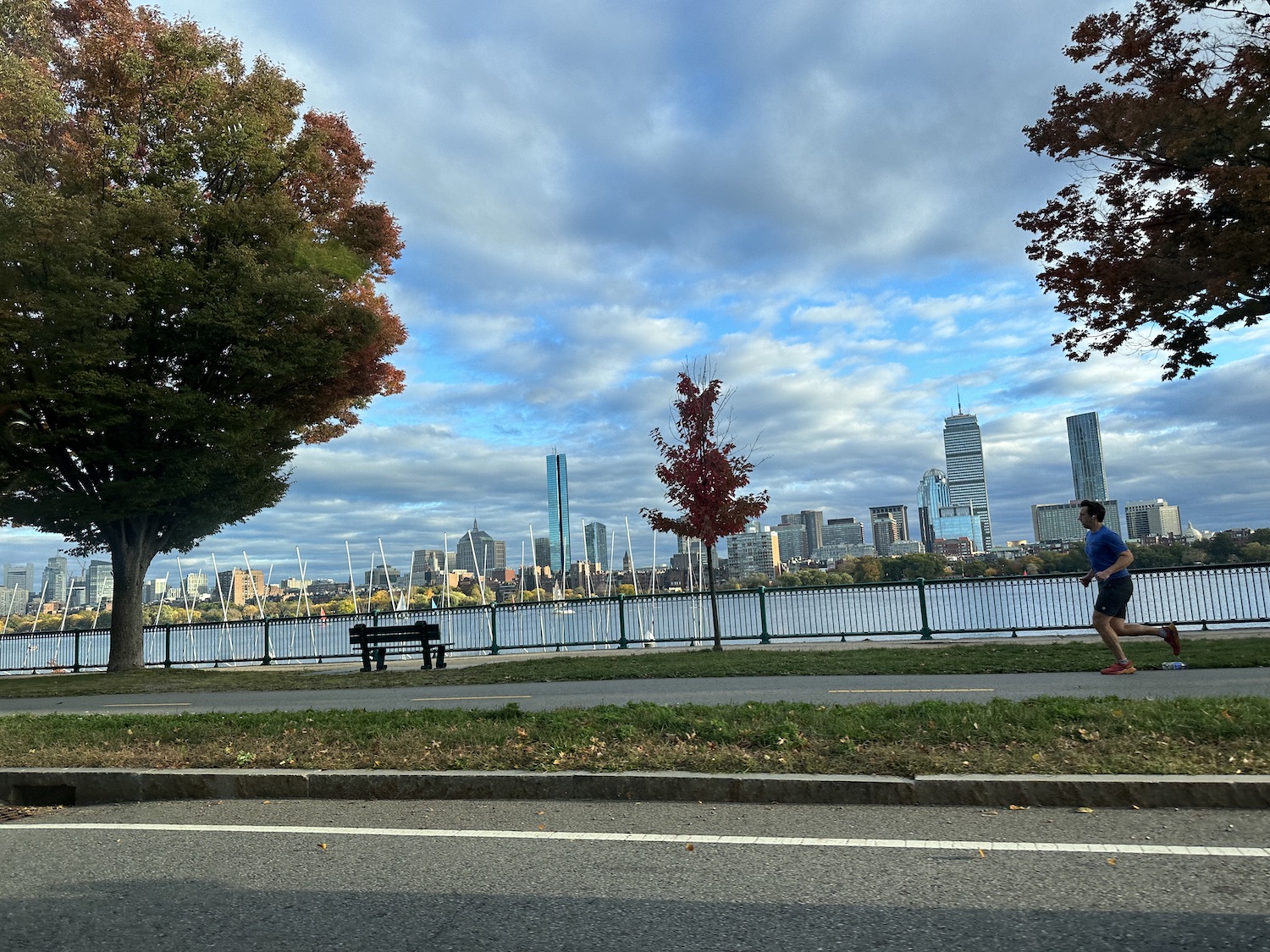 Scene along the Charles on a sunny day. The sky is vibrantly blue, the grass green, and runner jogs along the river.