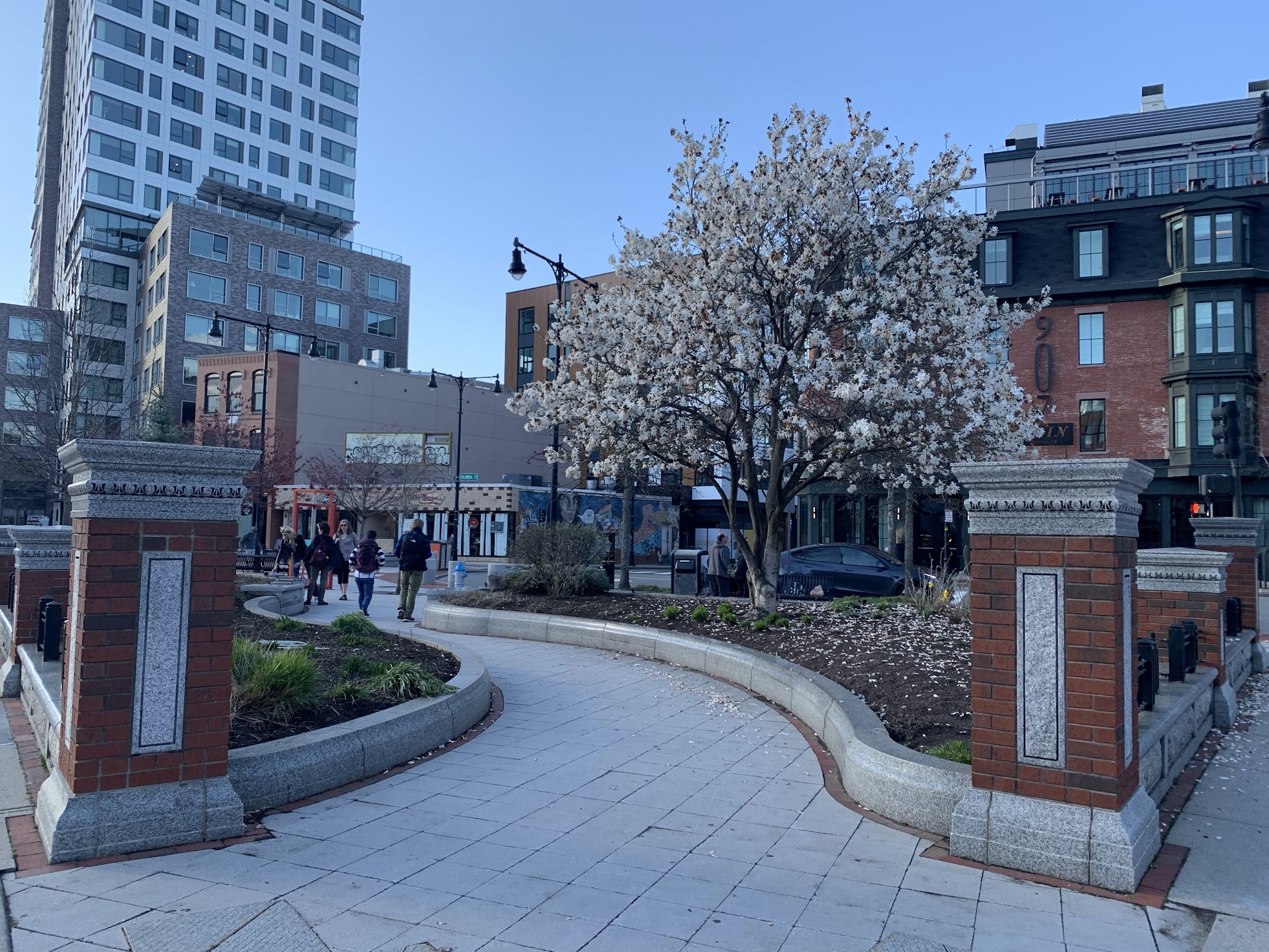 Lafayette Square in the midst of spring. The large tree holds full of white blossoms yelling Spring.