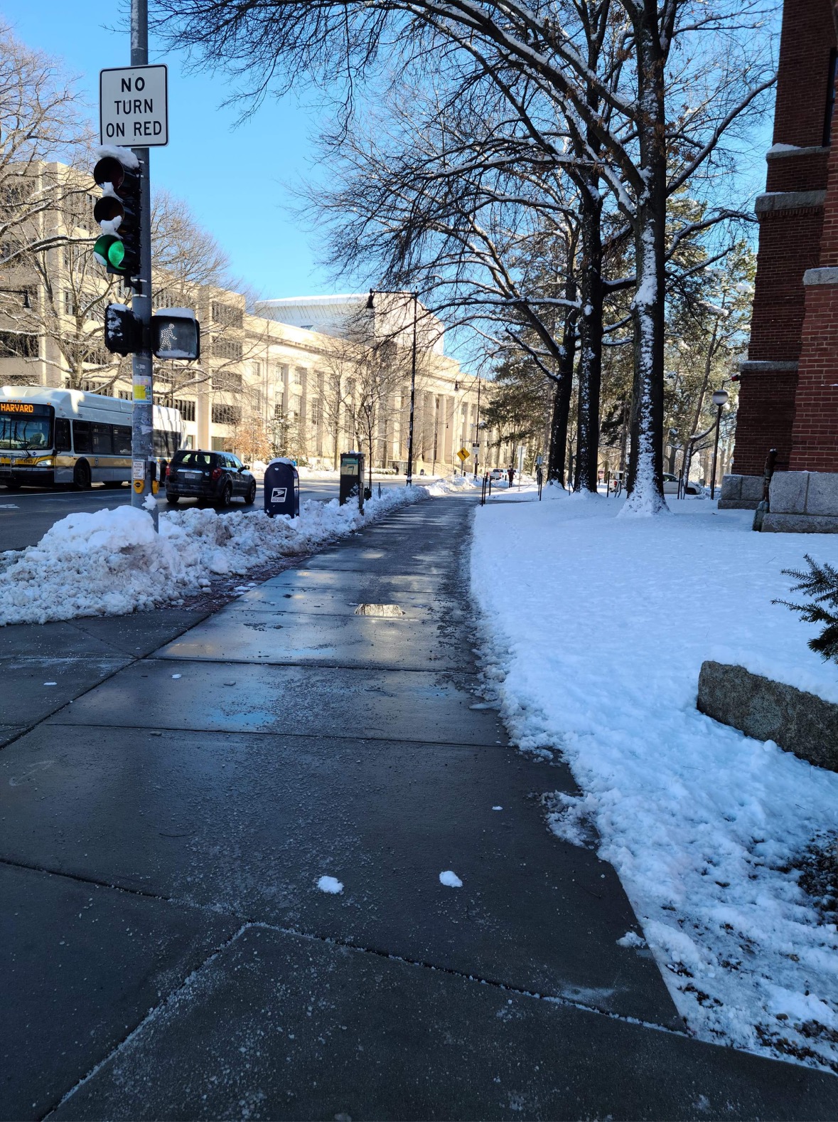 Mass Ave lined with brilliant snow.