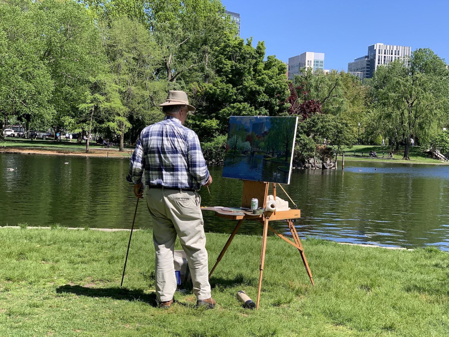 On the sunniest of days, one can find a dashing elderly man painting the scenery in the Boston Gardens.
