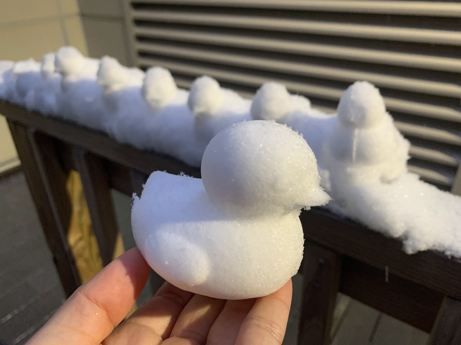 A lineup of snowducks.