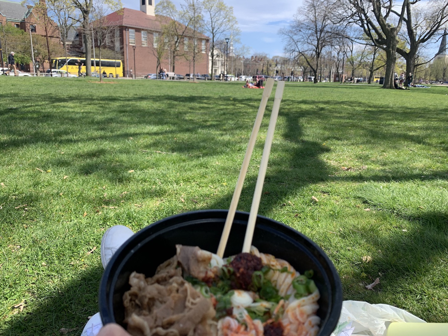 Dates by myself eating udon in the park.