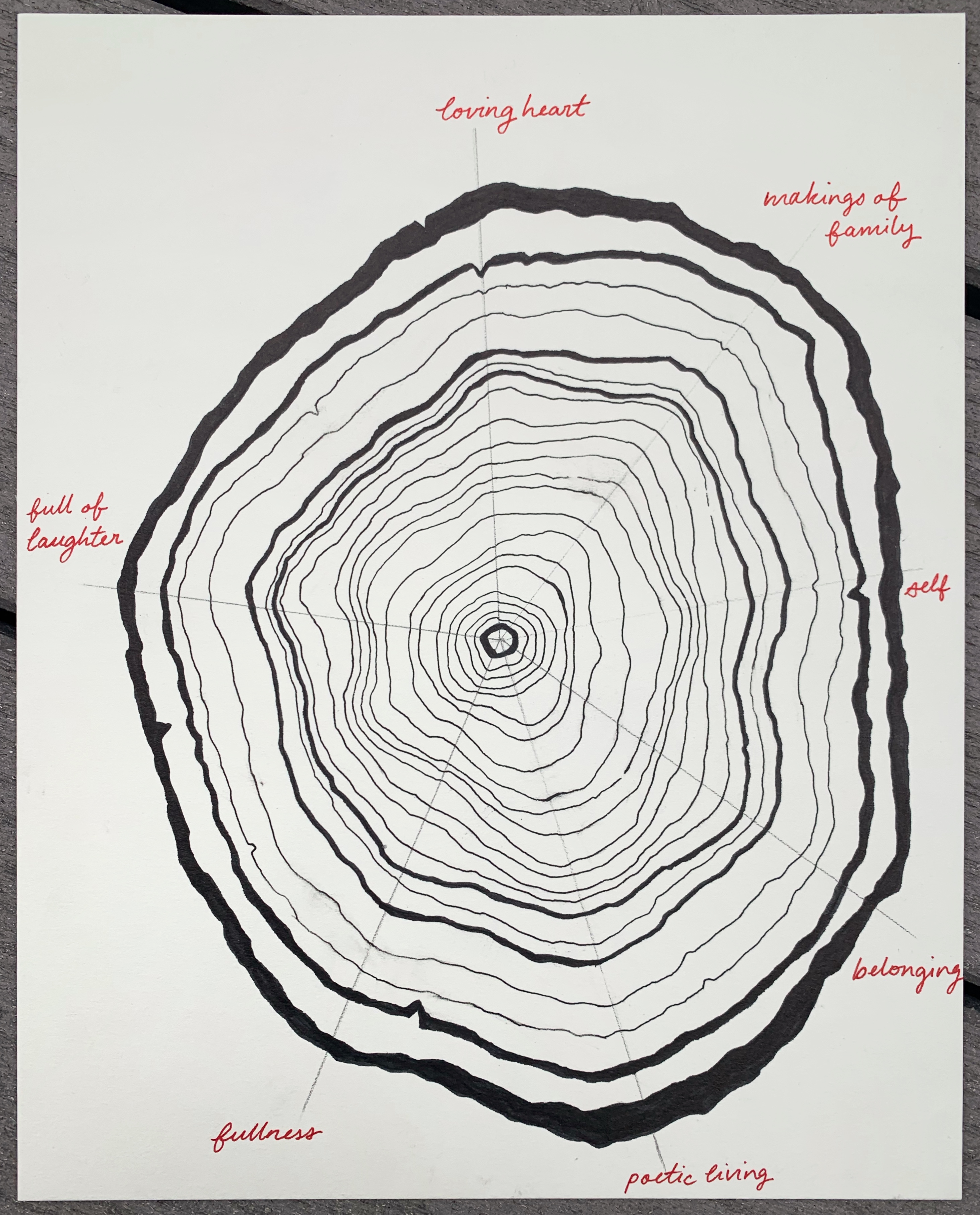 22 rings of a tree