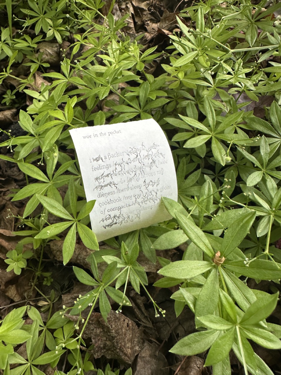 a poem printed on receipt paper in a bed of leaves