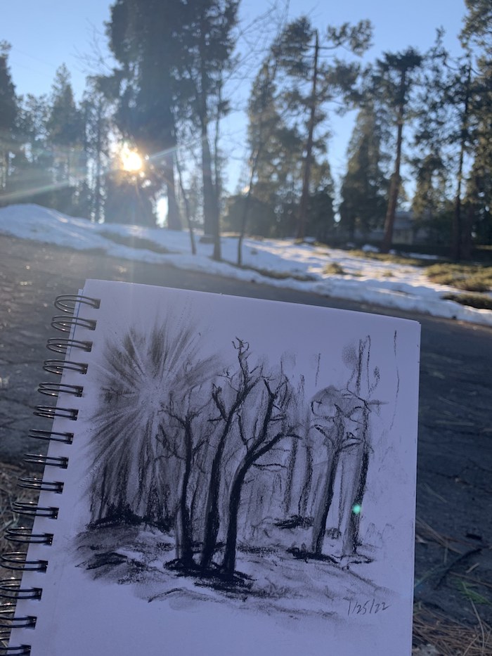 sketch