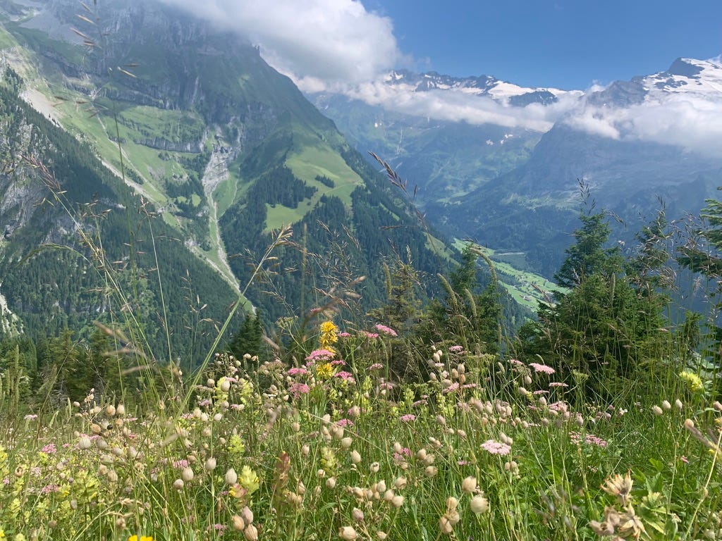 view of the swiss mountains