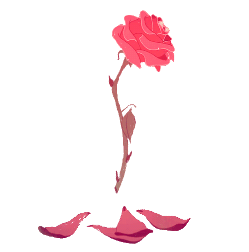 animation of a rose dropping petals